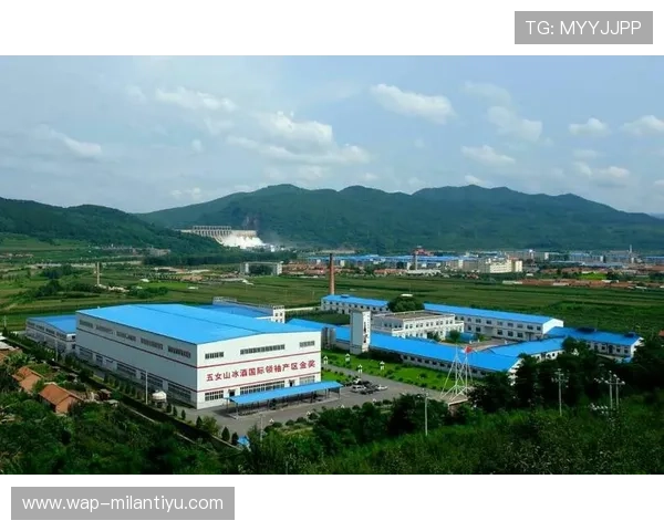 米兰国际合营促进本地产业升级与国际品牌合作的成功案例分析