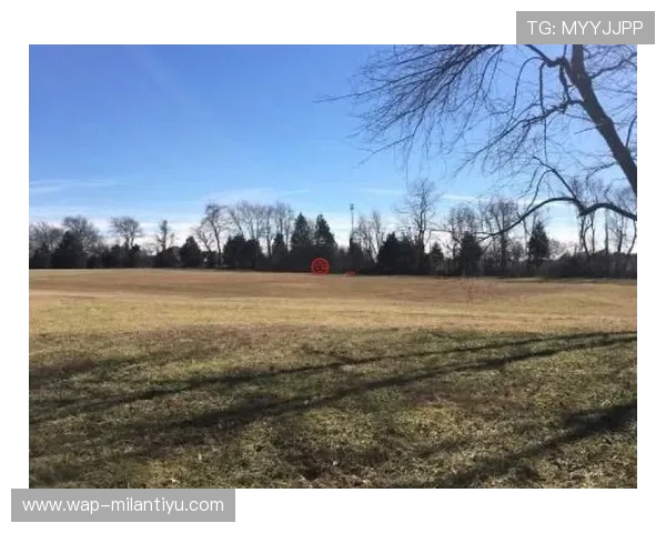 米兰外网常见问题解答:解决连接不稳定与访问受限的实用方案