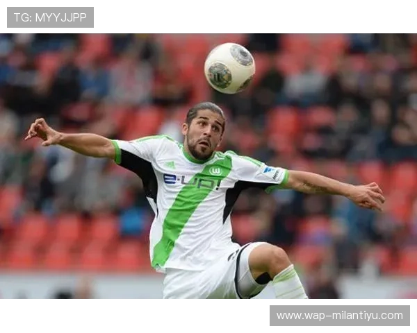 米兰官方网站登录入口常见错误及解决方案，确保顺利登录体验