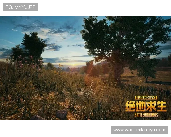 米兰登录入口:详细操作指南帮助用户快速登录平台